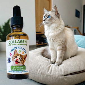 Suplemento Colágeno Gatos