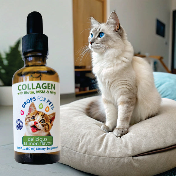 Suplemento Colágeno Gatos